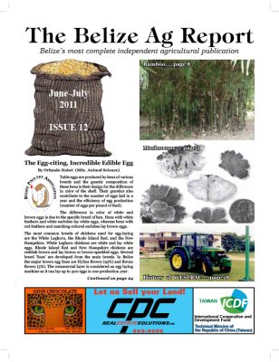Belize Ag Report | Issue 12 - Jun 2011