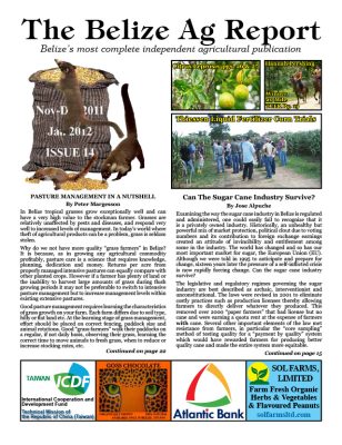 Belize Ag Report | Issue 14 - Nov 2011