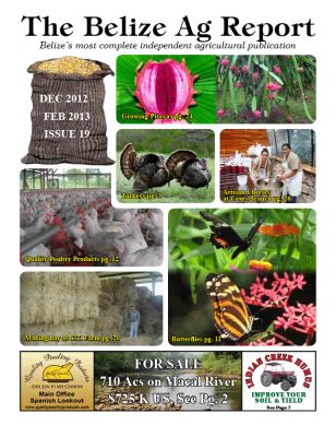 Belize Ag Report | Issue 19 - Dec 2012