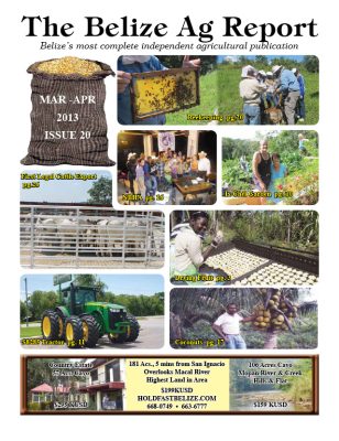 Belize Ag Report | Issue 20 - Mar 2013