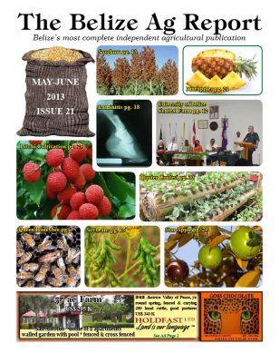 Belize Ag Report | Issue 21 - May 2013
