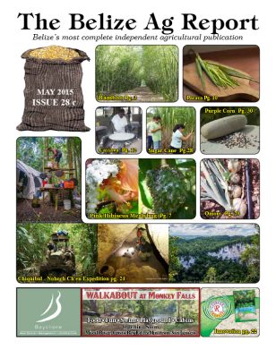 Belize Ag Report | Issue 28 - May 2015