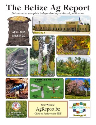 Belize Ag Report | Issue 29 - Aug 2015