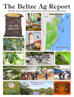 Belize Ag Report | Issue 32 - May 2016