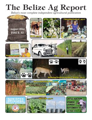 Belize Ag Report | Issue 33 - Aug 2016