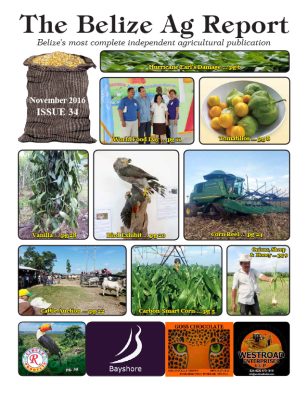 Belize Ag Report | Issue 34 - Nov 2016