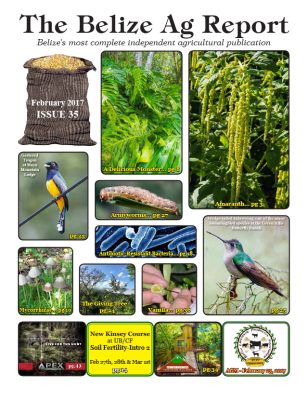 Belize Ag Report | Issue 35 - Feb 2017
