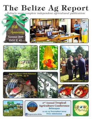 Belize Ag Report | Issue 42 - Jul 2019