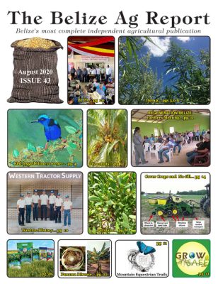 Belize Ag Report | Issue 43 - Aug 2020