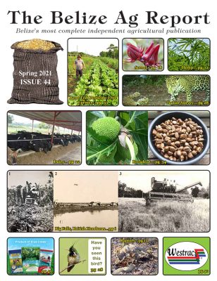 Belize Ag Report | Issue 44 - Spring 2021