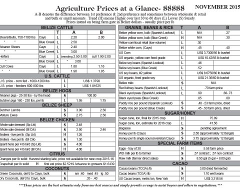 Ag Report Belize | Agriculture Prices - Nov 2015 (Image)