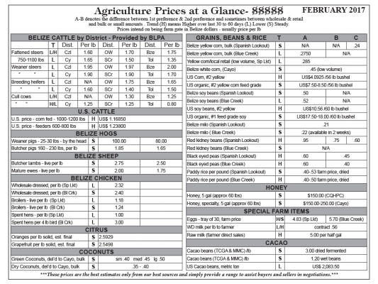 Ag Report Belize | Agriculture Prices - Feb 2021 (Image)