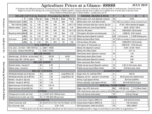 Ag Report Belize | Agriculture Prices - Jul 2019 (Image)