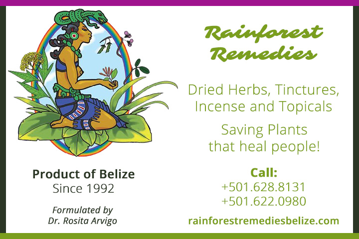 Ad Banner | Rainforest Remedies