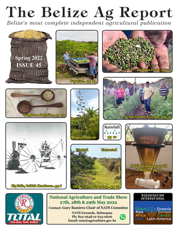 Belize Ag Report | Issue 44 Cover - Spring 2022