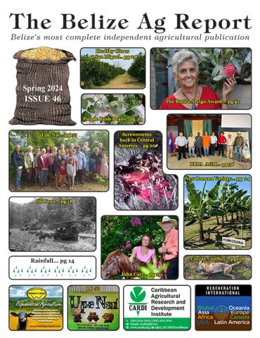Belize Ag Report | Issue 46 Cover - Spring 2024