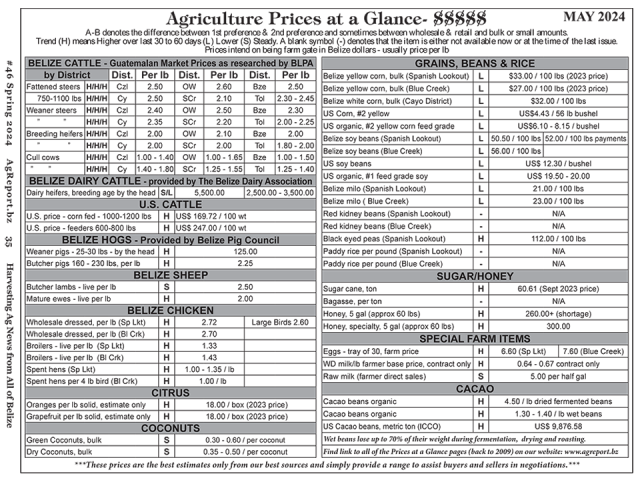 Ag Report Belize | Agriculture Prices - Mar 2024 (Image)